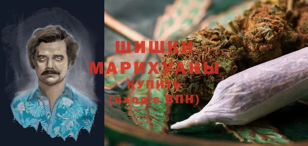 шишки Магадан