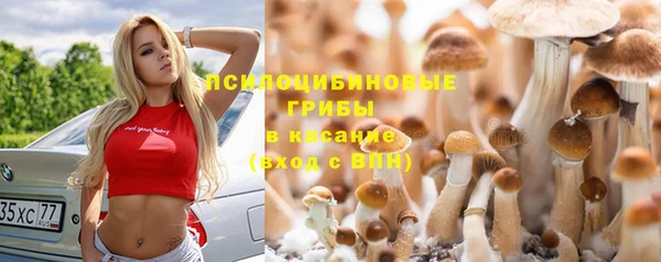 ГАЛЛЮЦИНОГЕННЫЕ ГРИБЫ Абинск