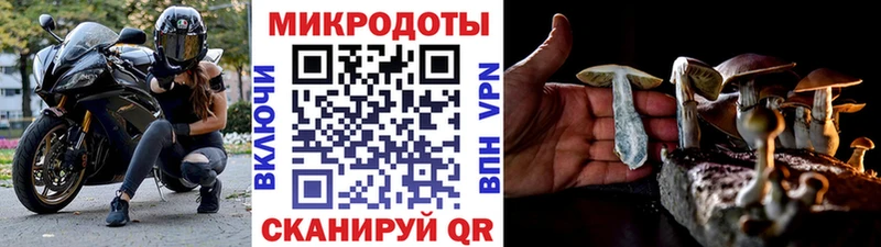 Псилоцибиновые грибы MAGIC MUSHROOMS  Приволжский 